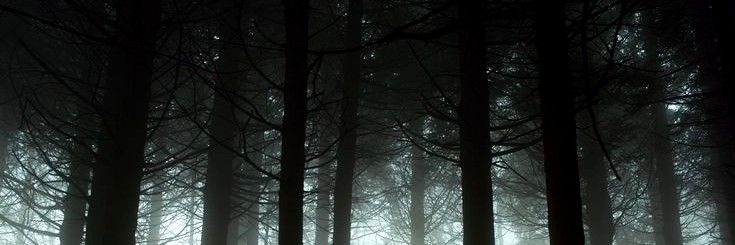 isjustchrisray's profile banner image