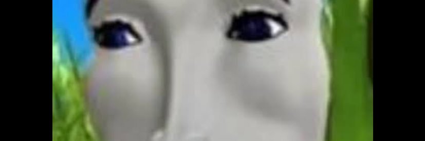 Everton_endres banner