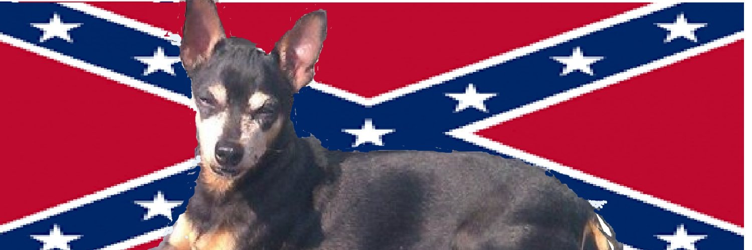 flemmingander15's profile banner image