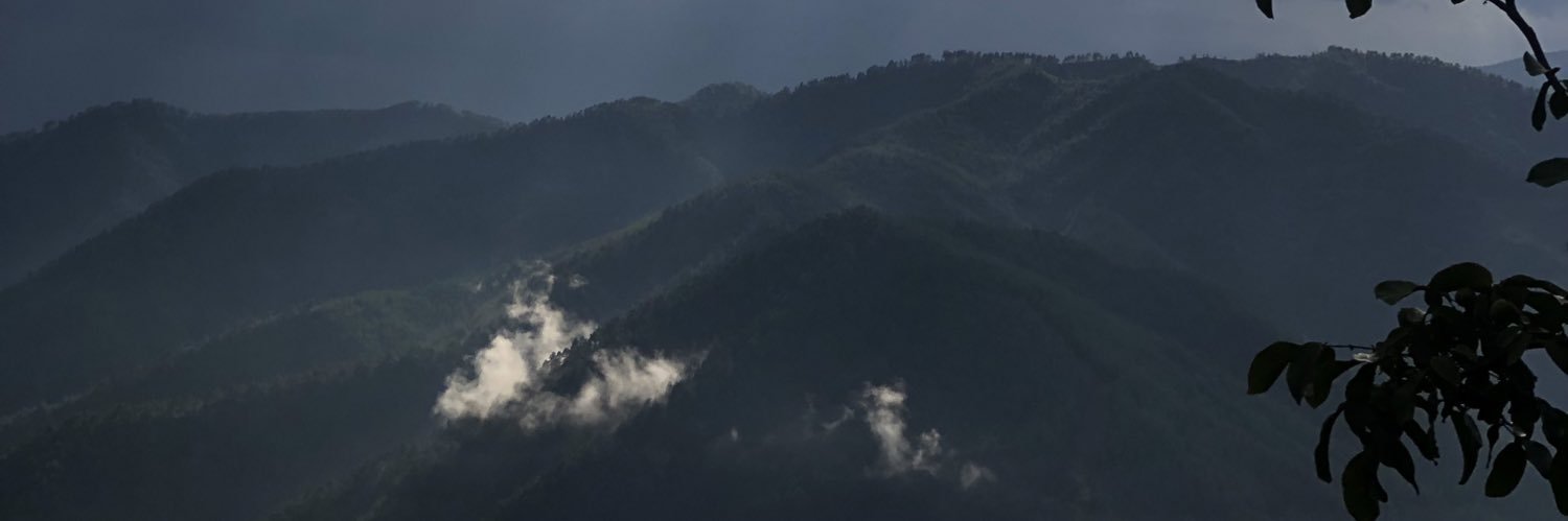 runigves's profile banner image