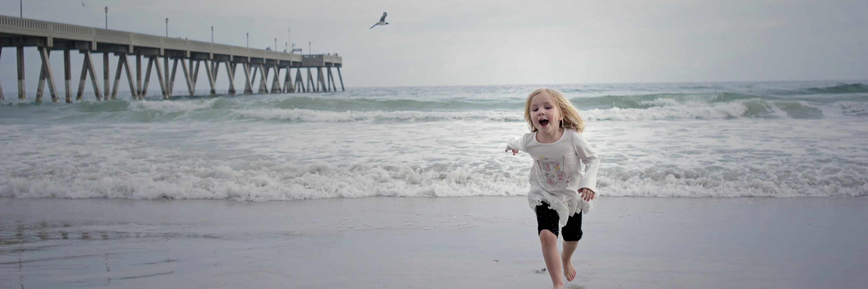 Lacy Mau-McDowell banner