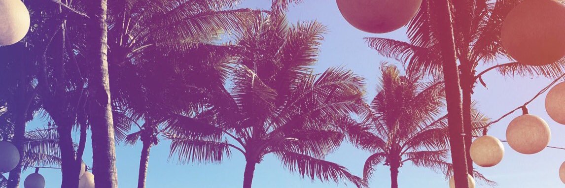 AlysonBoyle's profile banner image