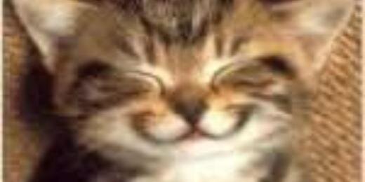 talybeus's profile banner image