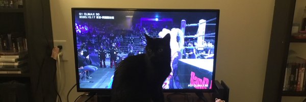 swingdingaling Profile Banner