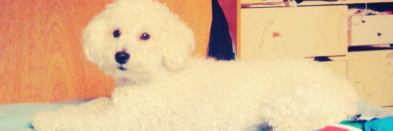 CaruuBritez's profile banner image