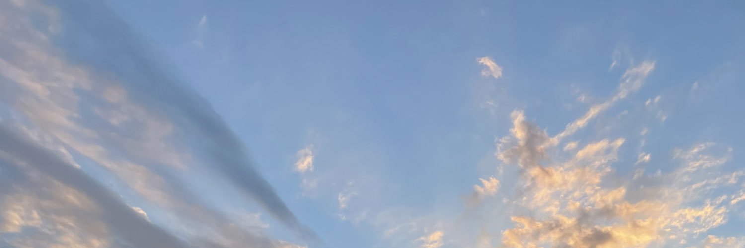 Sharolayn's profile banner image