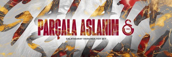 ParcalaAslanim Profile Banner