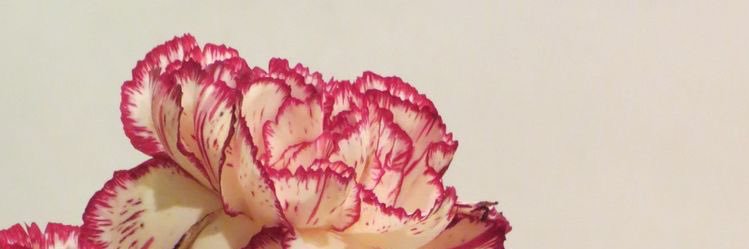 kamidhk's profile banner image