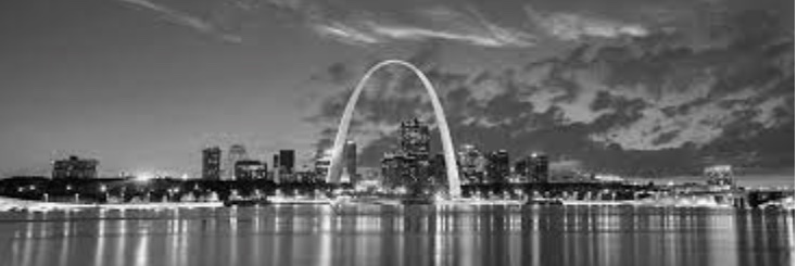 St. Louis Metro banner