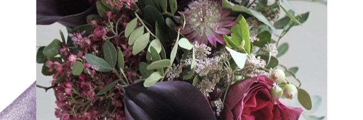 Natchi_n_Dale's profile banner image
