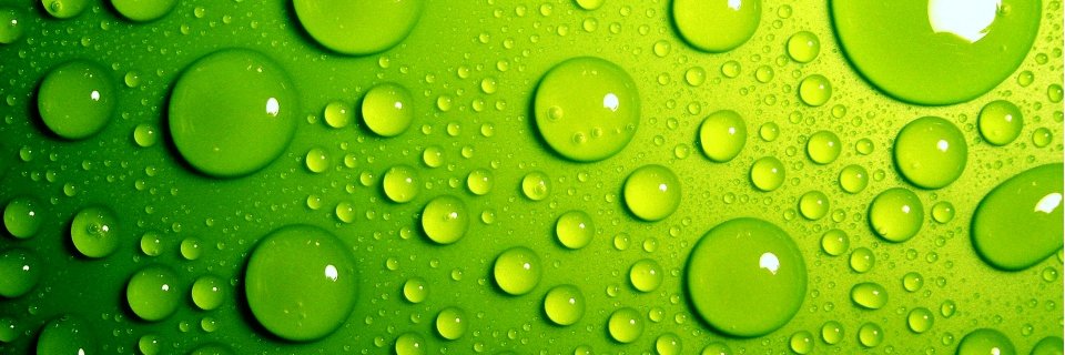 thebincleaner's profile banner image