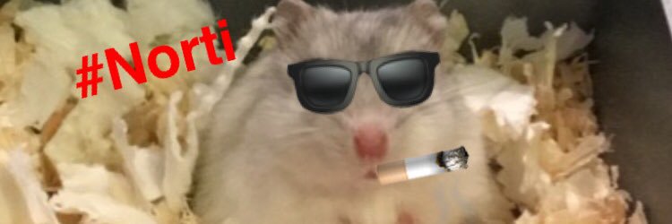 BrodieMorris's profile banner image