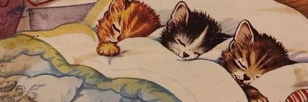 me_eepy Profile Banner