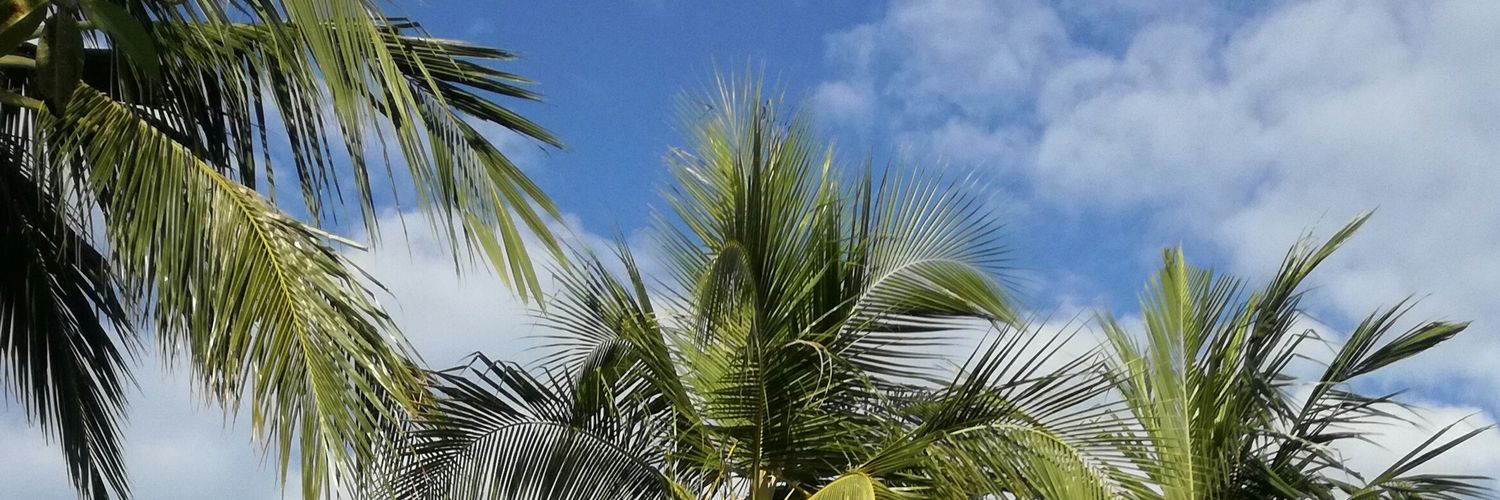 CambetteD's profile banner image