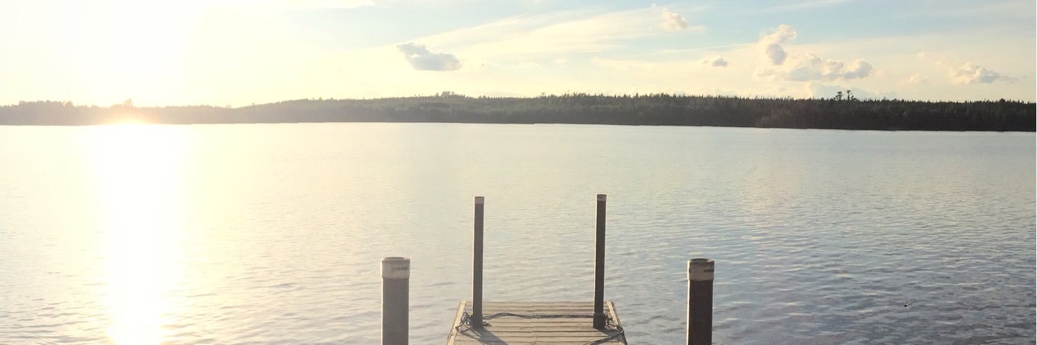 Jodes_Lee's profile banner image