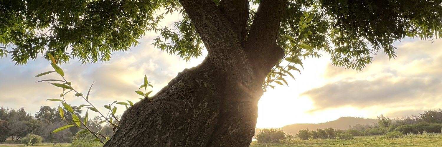 MeMoO_7's profile banner image