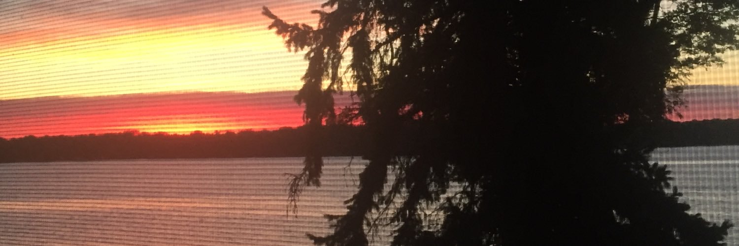 Julie Manning banner