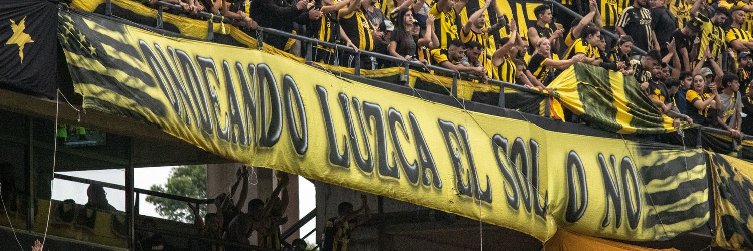 Pato banner