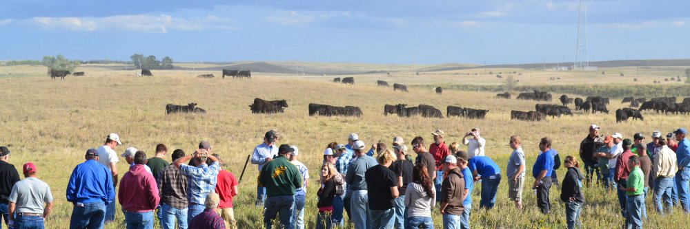 Land Stewardship Project banner