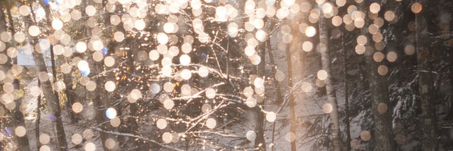ser_ndipity's profile banner image