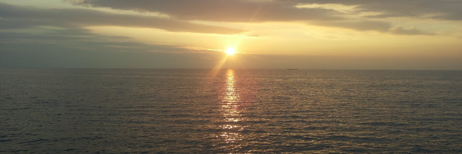 SDHTW's profile banner image