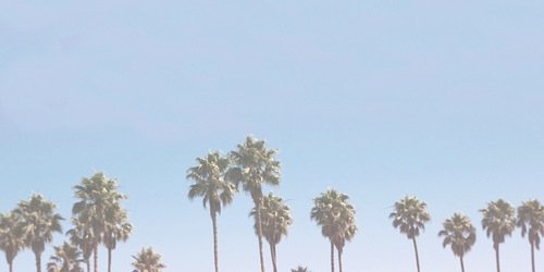 pleasingjacobb's profile banner image