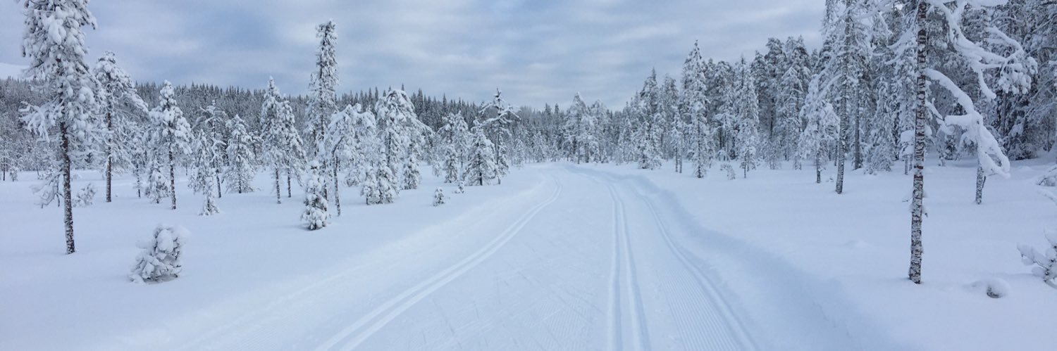 Ari Leppänen banner