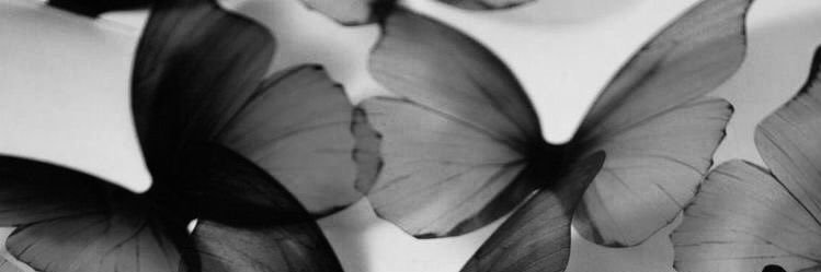_kkaay's profile banner image