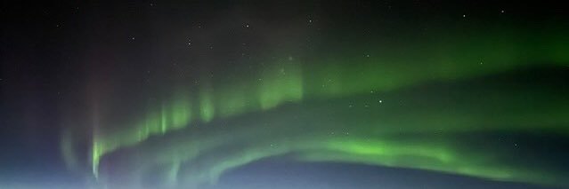 Alina Manrique Cedeño banner