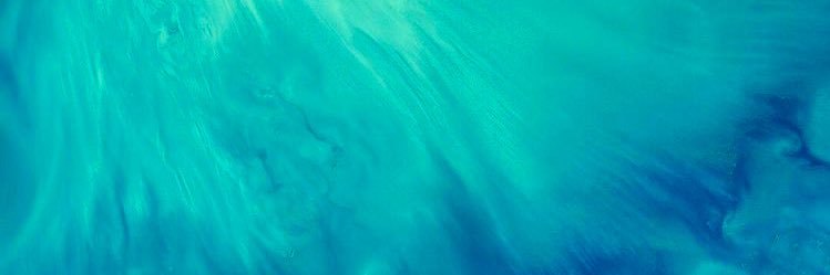 elena10md's profile banner image
