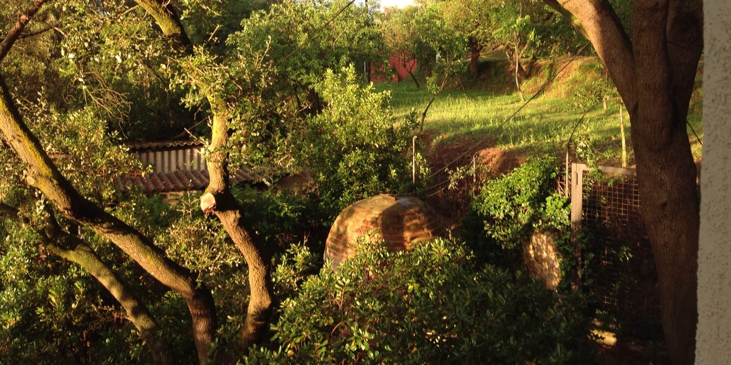 dvertros's profile banner image