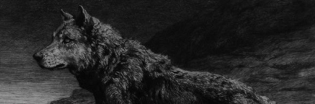 Brrendyn's profile banner image