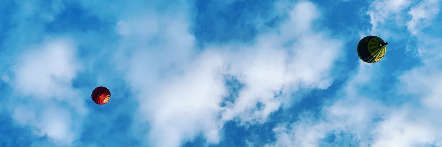 Dr Lisa M Miller banner