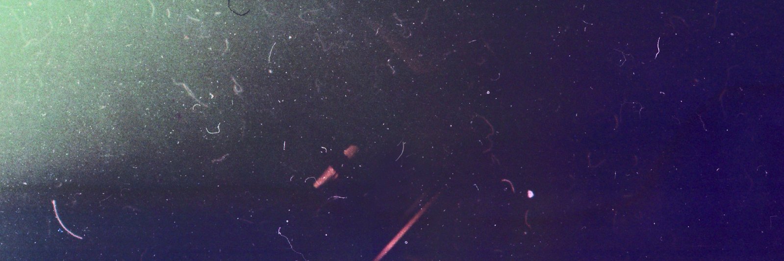 urnurr's profile banner image