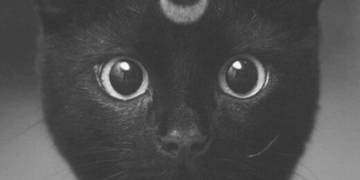 x_steen's profile banner image