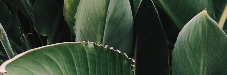 macksummers_'s profile banner image