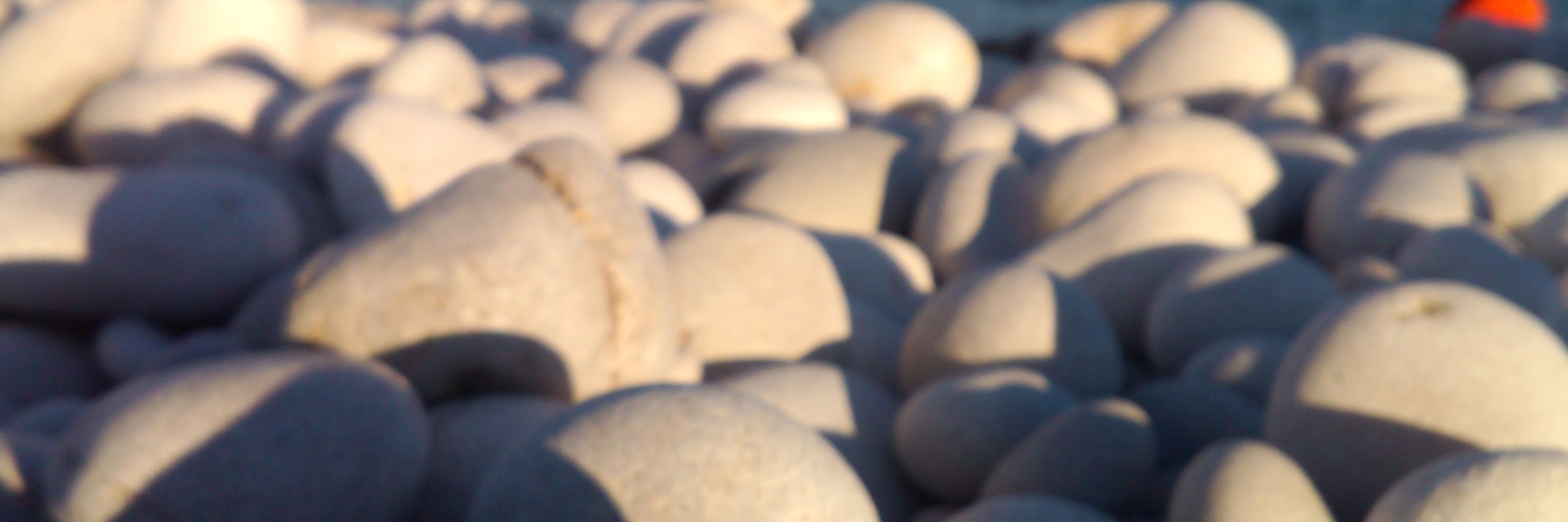 DNACHER's profile banner image