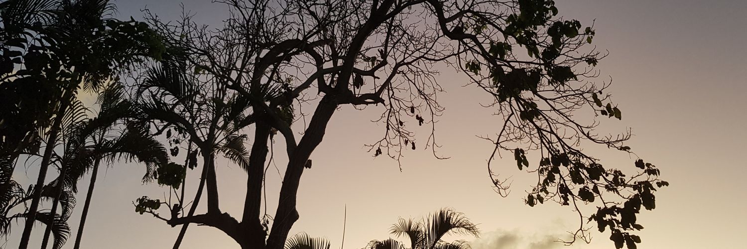 fbjr's profile banner image