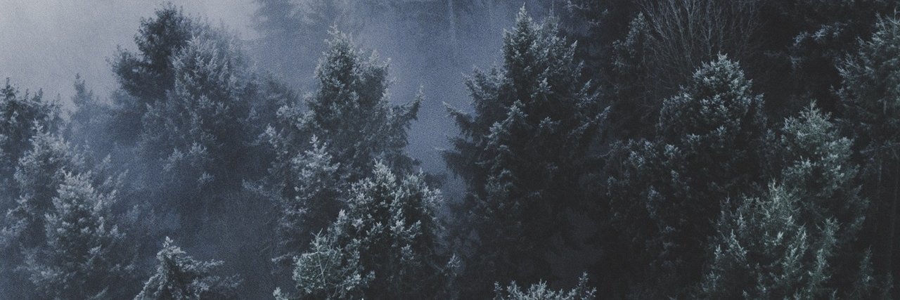 danpinetree's profile banner image