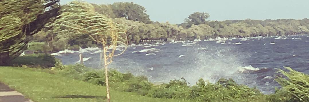 Caitlin Foley banner