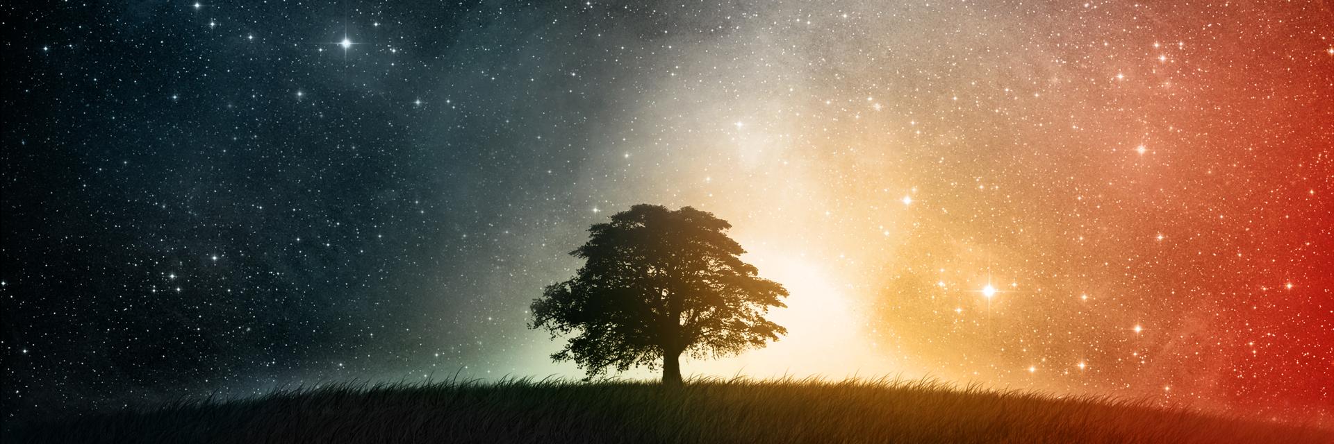 bryfung's profile banner image