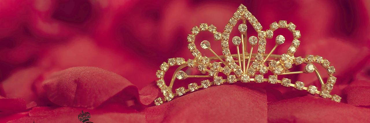 Snobby Princess banner