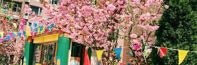 咕咕咕 banner