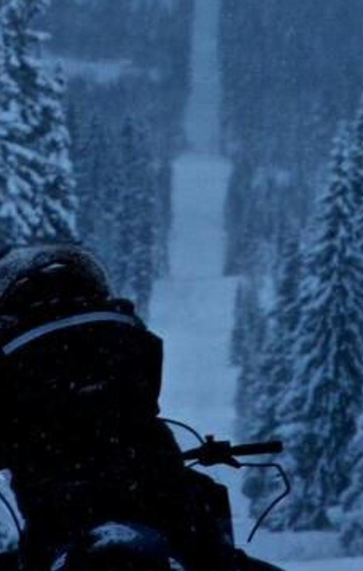 atrigby's profile banner image