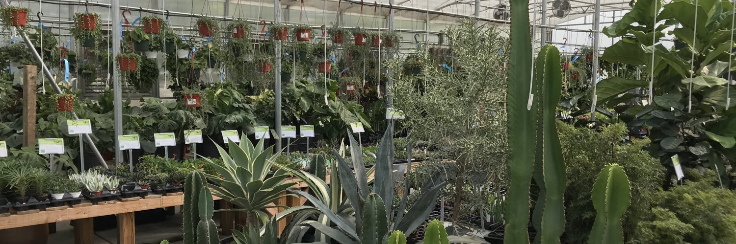 floridsplendor's profile banner image