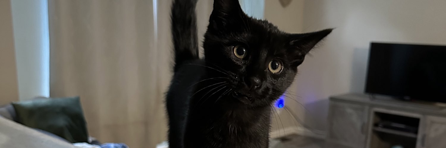 allie9112's profile banner image