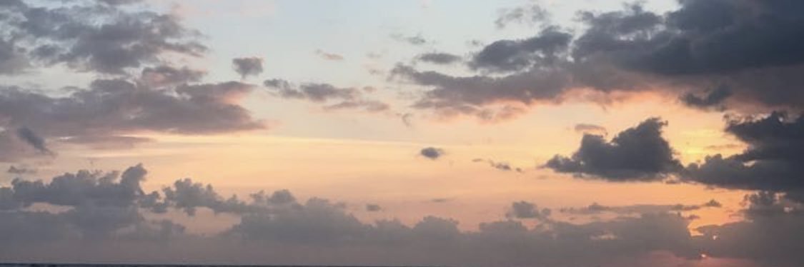 skylyndsy's profile banner image