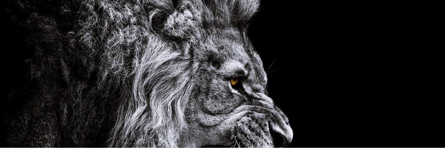 skylarjp's profile banner image