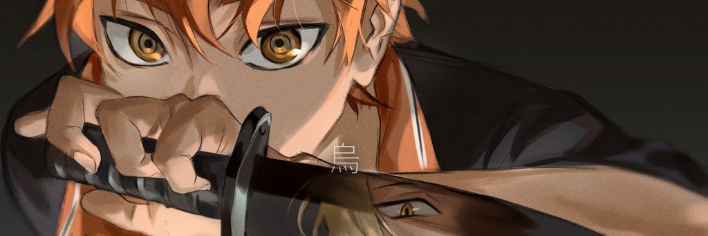 Physiallis's profile banner image