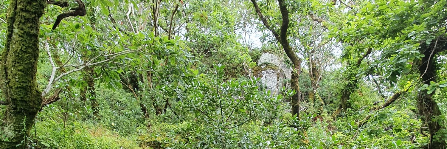 Lord Summerisle banner